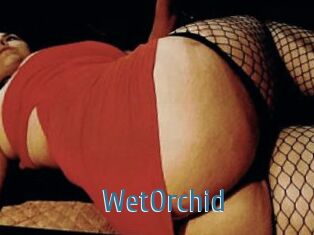 WetOrchid