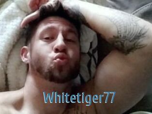 Whitetiger77