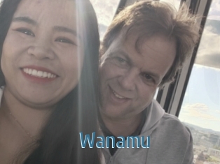 Wanamu