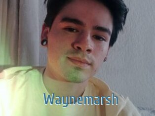 Waynemarsh