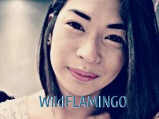 WildFLAMINGO