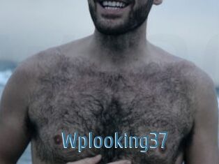 Wplooking37