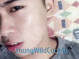 YoungWildCock4u