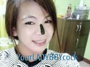 YourLADYBOYcock