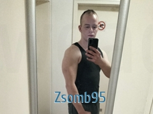 Zsomb95
